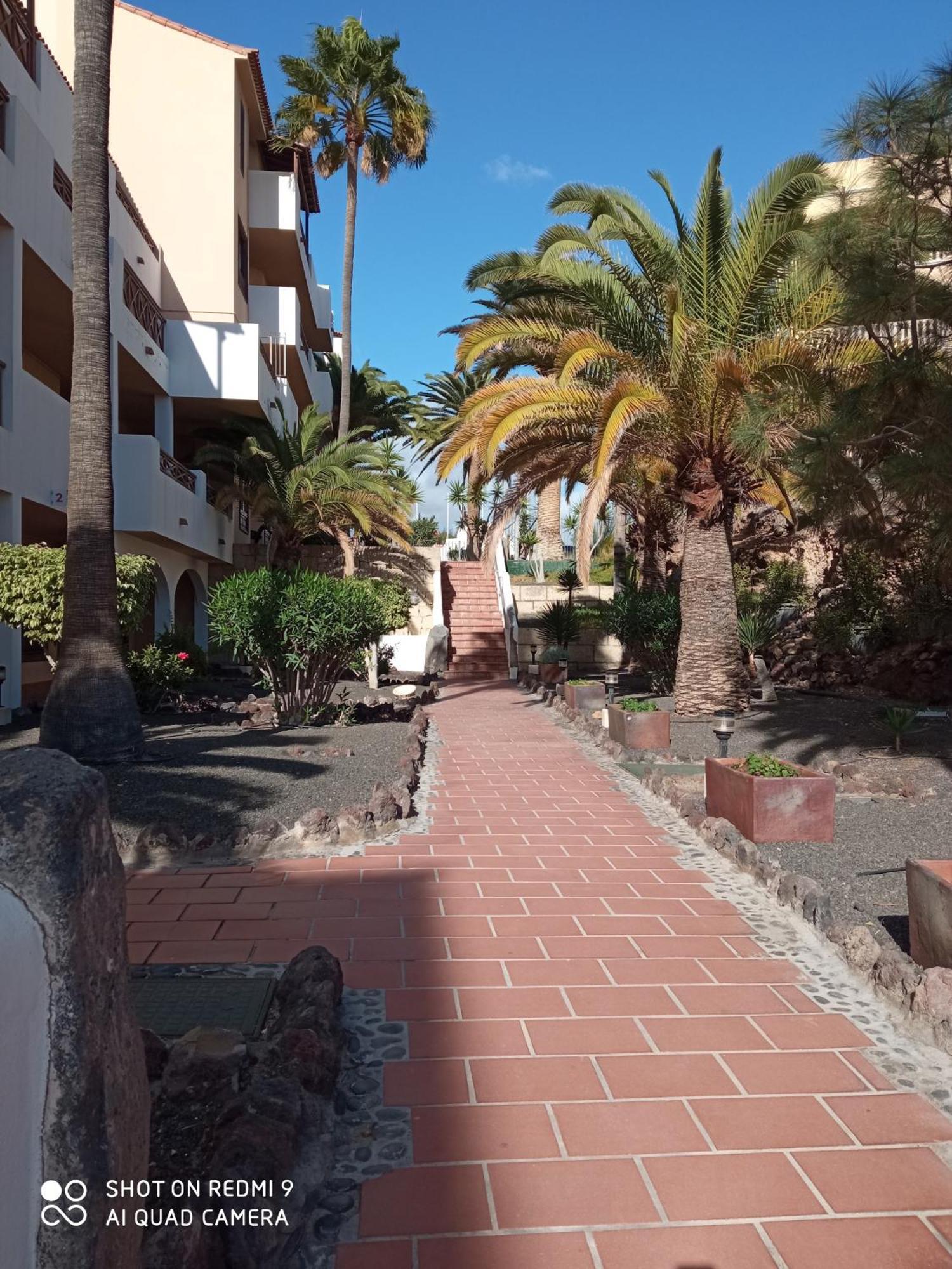 Las Meninas Tenerife San Miguel de Abona Pokoj fotografie